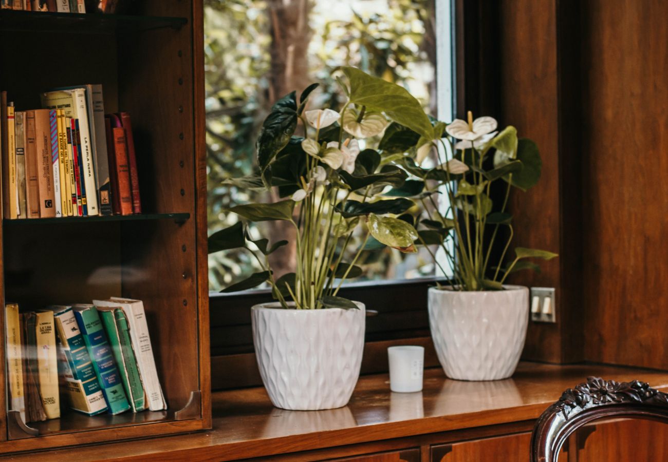 Appartamento a Stresa - Library Apartment - Villa Candela