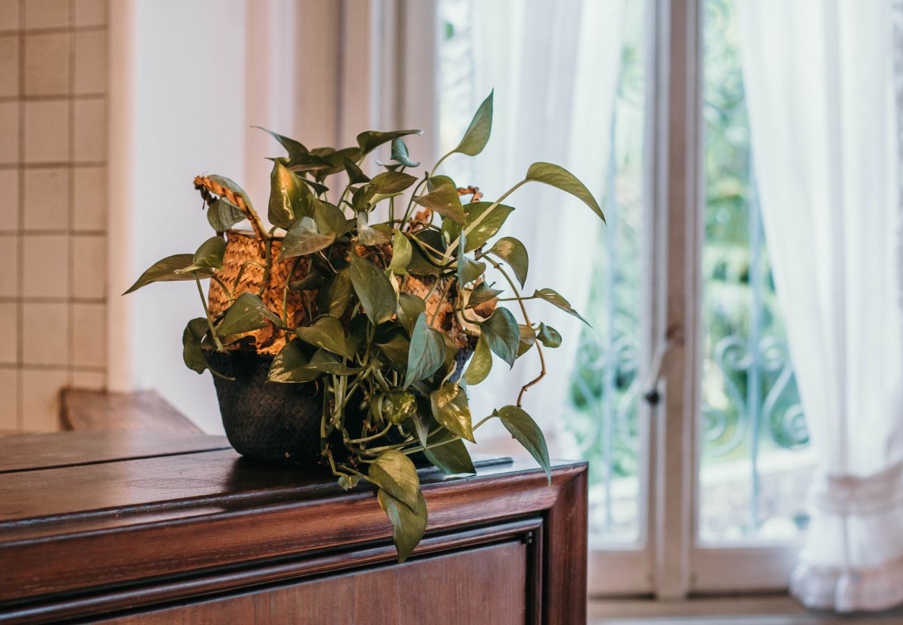 Appartamento a Stresa - Library Apartment - Villa Candela